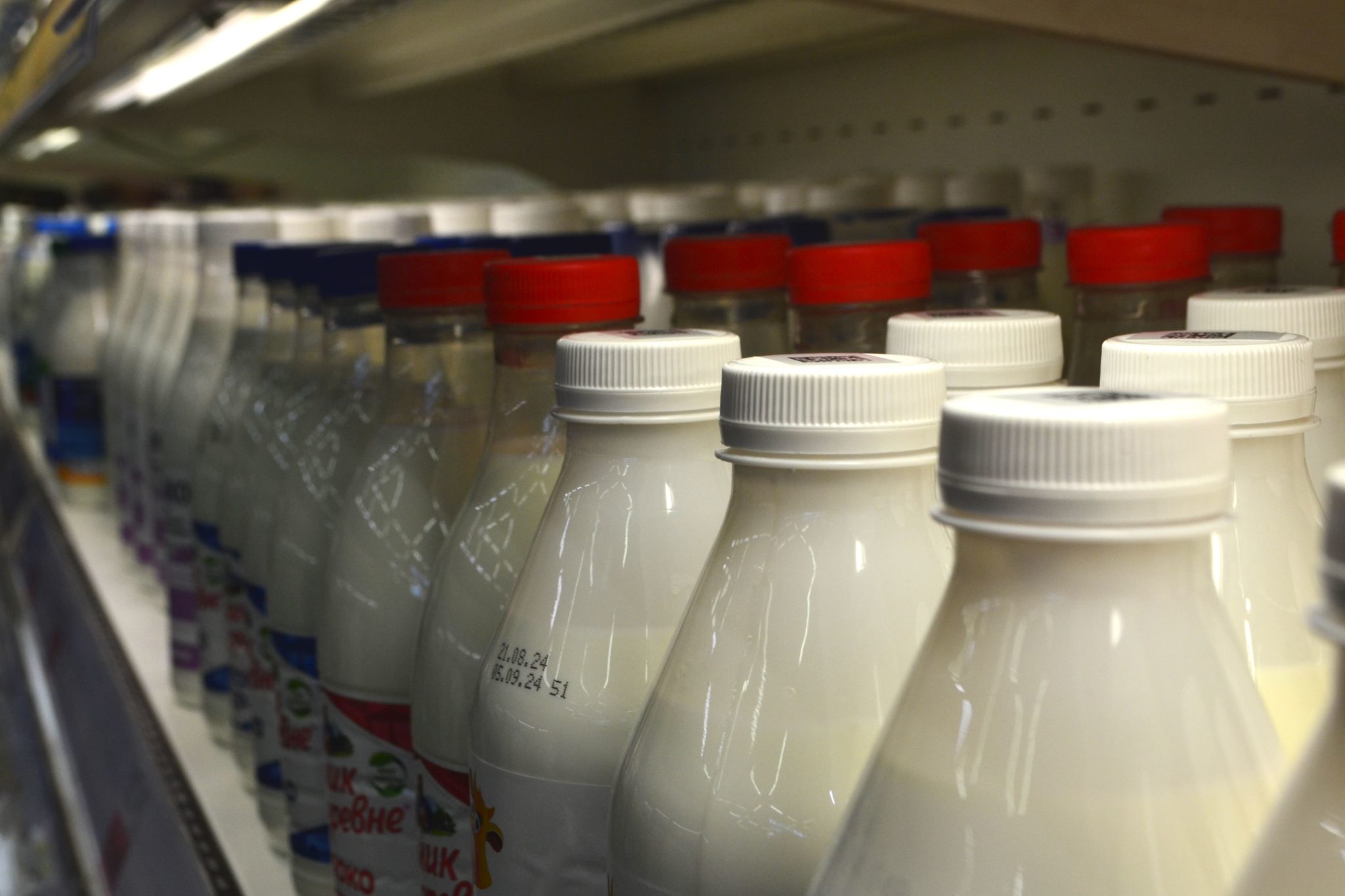 В Кузбассе планируют построить крупный завод по глубокой переработке молока