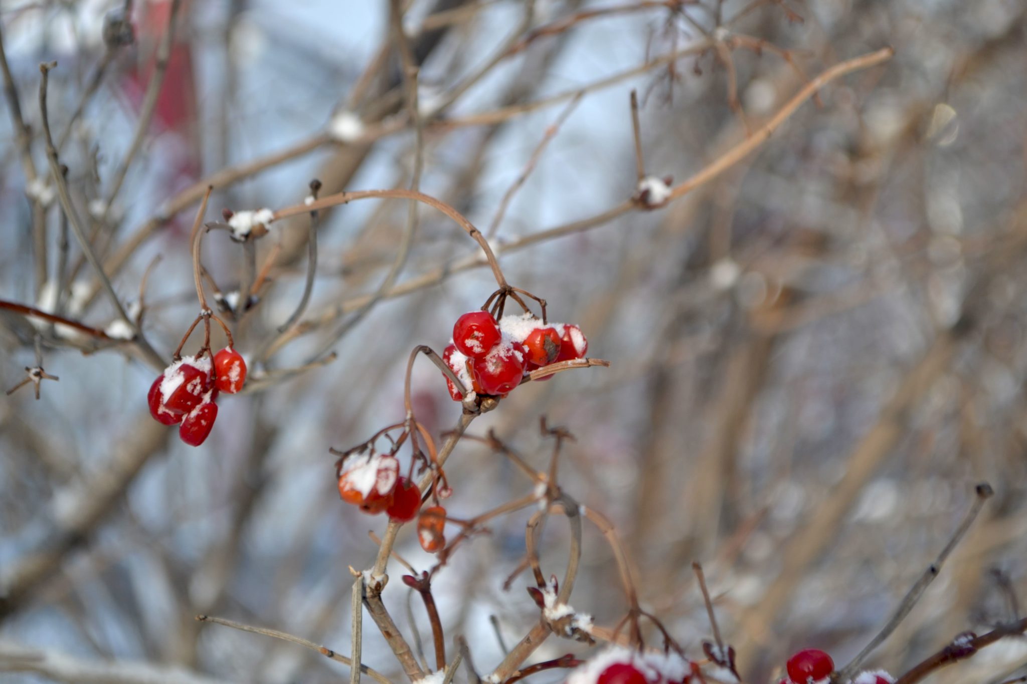 Морозы до -43 градусов придут в Кузбасс