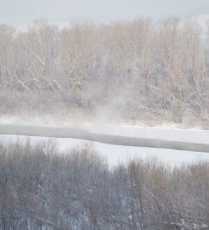 От -16 до -28: морозы начнут ослабевать в Кузбассе в ближайшие сутки