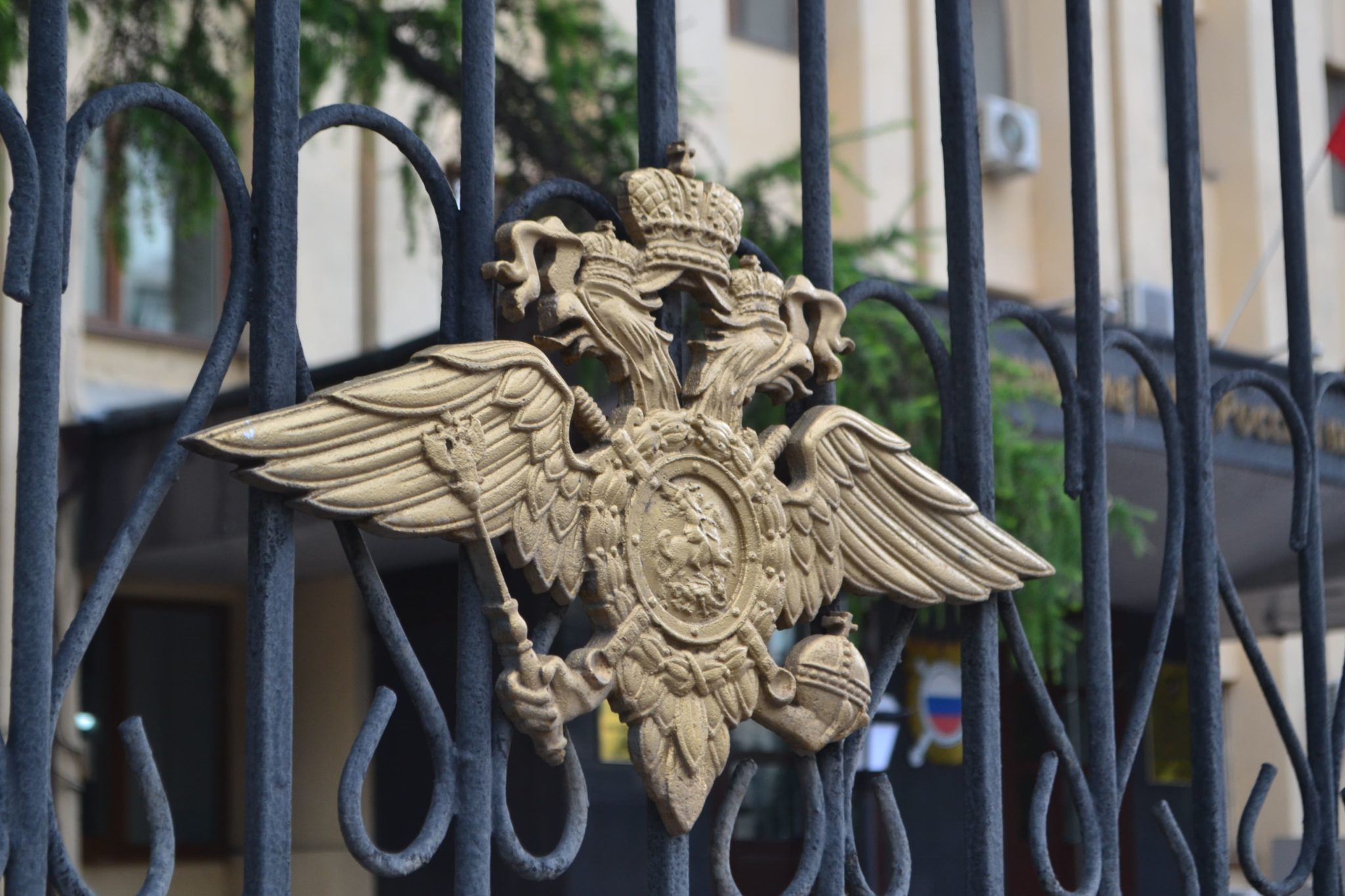 МВД: в 2025 году из России депортировали 19 тысяч мигрантов