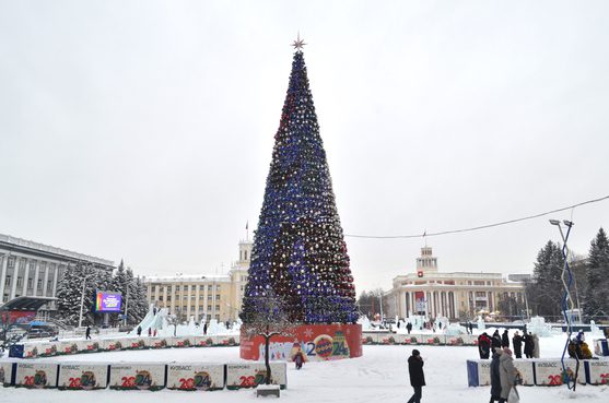 В Кемерове открыты 88 зимних спортивных площадок