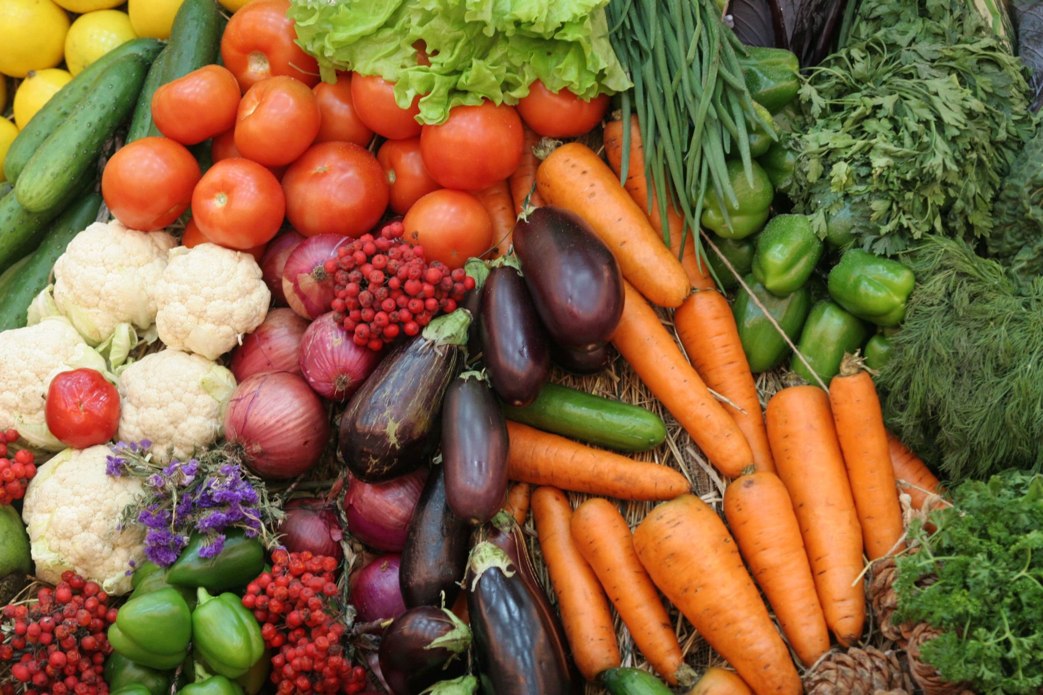 В Кузбассе оставившего пациентов без еды поставщика внесли в «черный список»