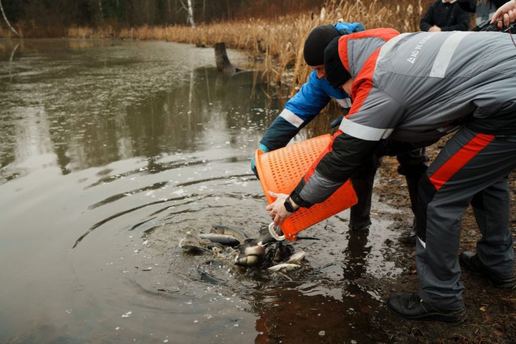УК «Кузбассразрезуголь» провела зарыбление верховьев Томи для очистки рек
