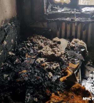 В Топках на пожаре погибли мама с двумя детьми