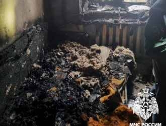 В Топках на пожаре погибли мама с двумя детьми