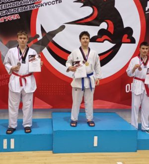 Новокузнечане завоевали награды Всероссийских соревнований по тхэквондо (ВТФ)