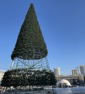 В Новокузнецке на центральной площади торжеств устанавливают елку