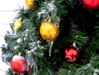 С 15 декабря в Кемерове заработают елочные базары