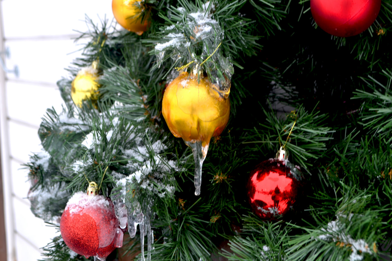 С 15 декабря в Кемерове заработают елочные базары