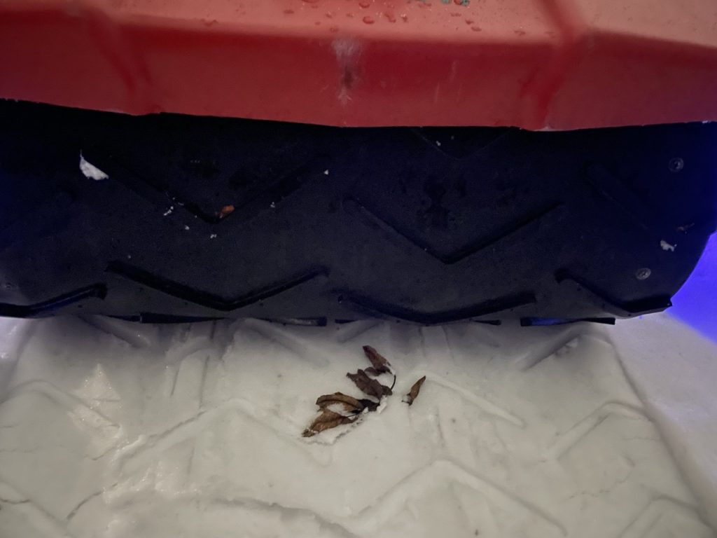 Электроснегокаты в Новокузнецке стали новым развлечением горожан