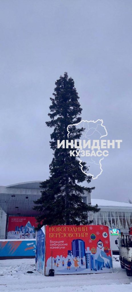 «Елочка нравится?». Жители кузбасского города недовольны видом главного новогоднего символа
