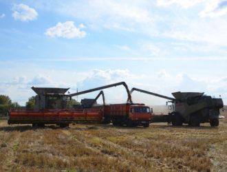 Шесть муниципалитетов Кузбасса завершили уборочную кампанию