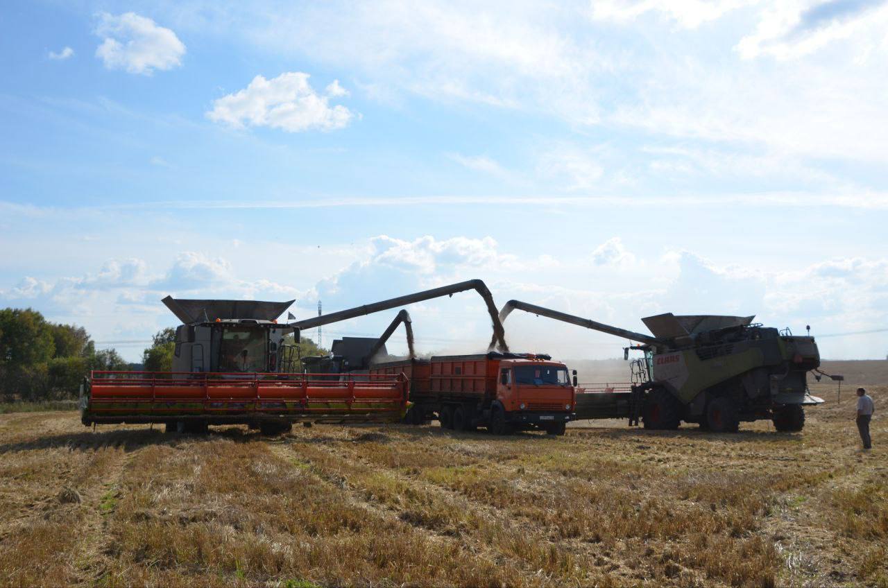 Шесть муниципалитетов Кузбасса завершили уборочную кампанию