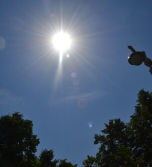 На выходных в Кузбассе потеплеет до +14 градусов