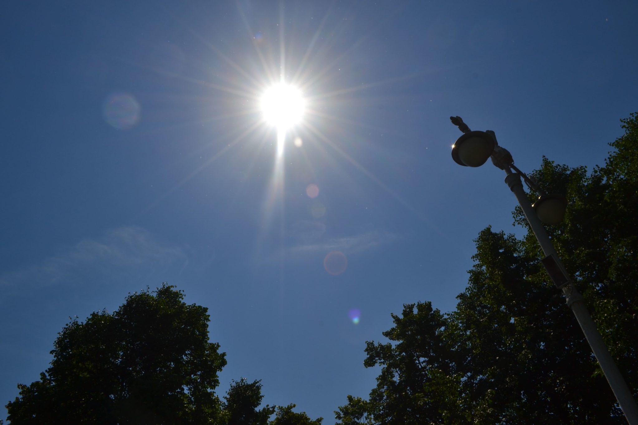 На выходных в Кузбассе потеплеет до +14 градусов