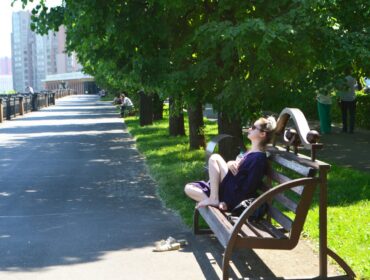 Роспотребнадзор опроверг сообщения о «нашестствии» комаров