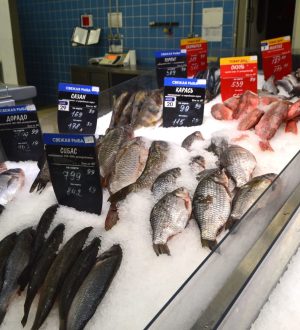 Более 280 кг опасной рыбы и морепродуктов изъяли из магазинов в Кузбассе