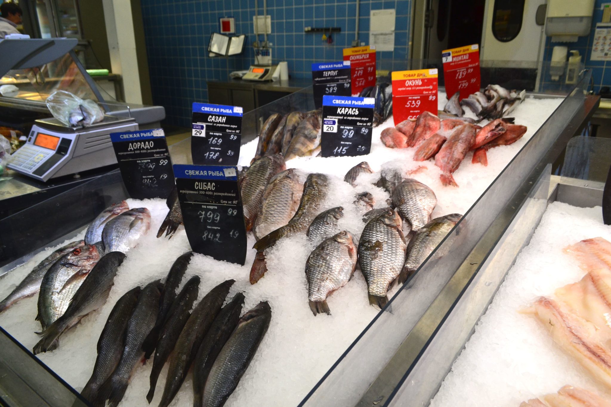 Более 280 кг опасной рыбы и морепродуктов изъяли из магазинов в Кузбассе