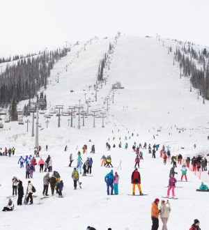 Внутренний туризм в России с начала года вырос на 4,8%