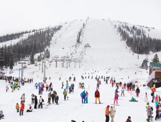 Внутренний туризм в России с начала года вырос на 4,8%