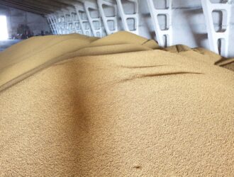Кузбасс с начала года экспортировал более 176 тыс. тонн зерновой продукции