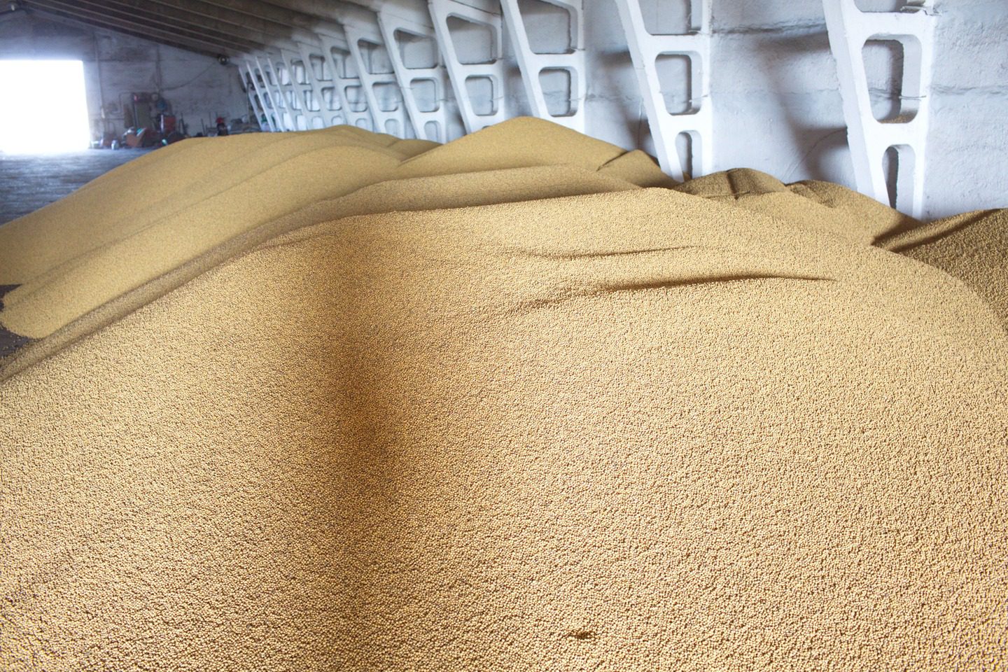Кузбасс с начала года экспортировал более 176 тыс. тонн зерновой продукции