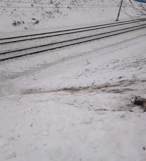 В Кузбассе родителей наказали за катание детей с горки у железной дороги