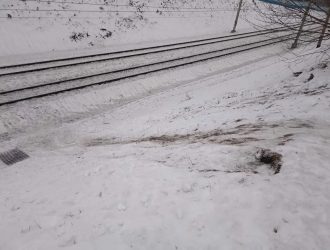В Кузбассе родителей наказали за катание детей с горки у железной дороги