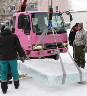 Мамонты станут украшением ледового городка в кемеровском поселке Кедровка