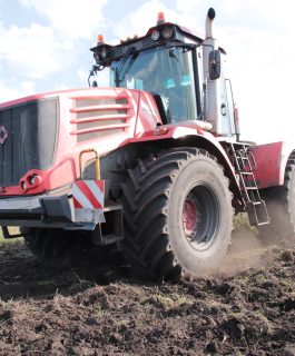 Кузбасс полностью выполнил план по вводу в оборот неиспользуемых земель