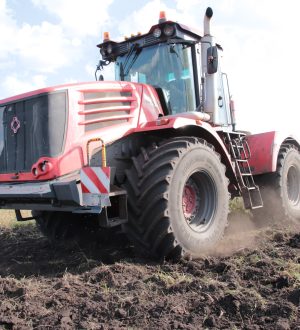 Кузбасс полностью выполнил план по вводу в оборот неиспользуемых земель