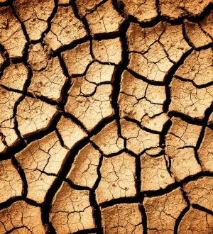 В Прокопьевском округе зафиксировали землетрясение