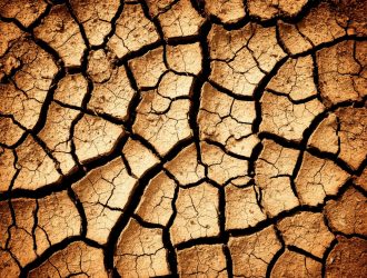 В Прокопьевском округе зафиксировали землетрясение