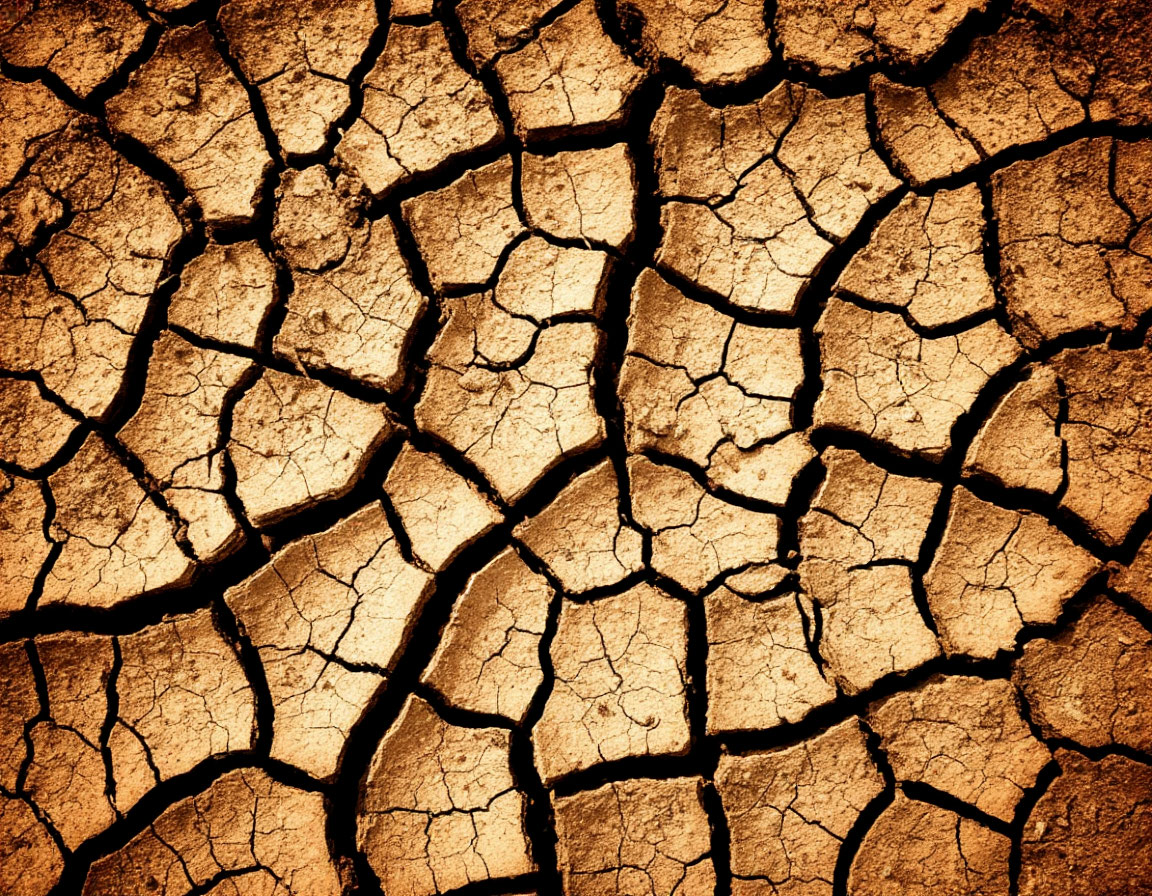 В Прокопьевском округе зафиксировали землетрясение