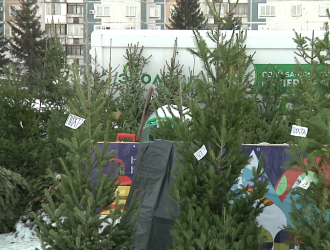 В Новокузнецке стартовала работа елочных базаров