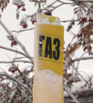 В Новокузнецке посчитали, какой эффект оказал проект «Чистый воздух» на экологию города