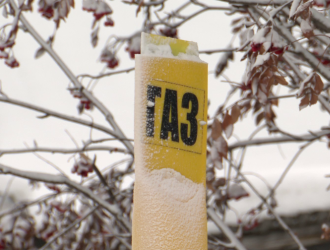 В Новокузнецке посчитали, какой эффект оказал проект «Чистый воздух» на экологию города