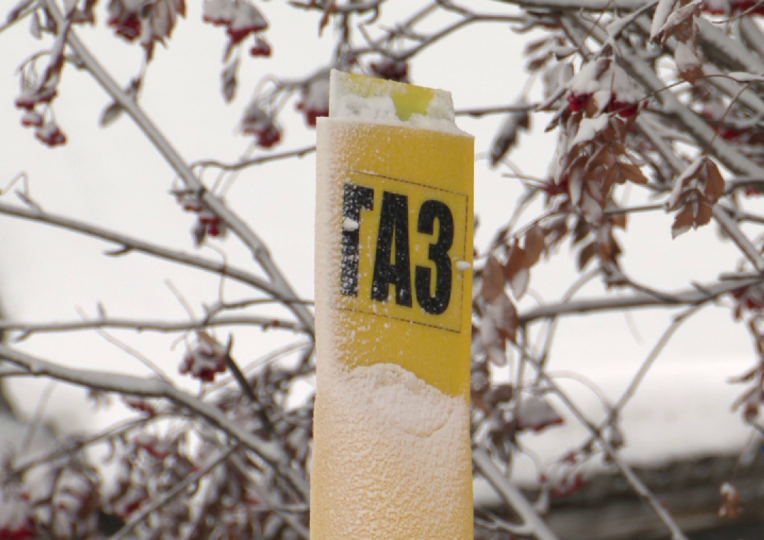 В Новокузнецке посчитали, какой эффект оказал проект «Чистый воздух» на экологию города