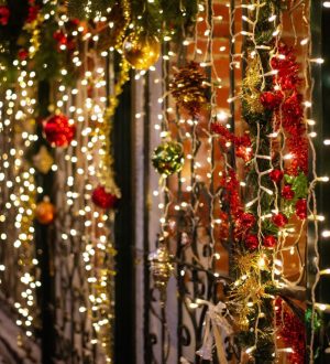 В Госдуме предложили не штрафовать за новогоднее украшение подъездов