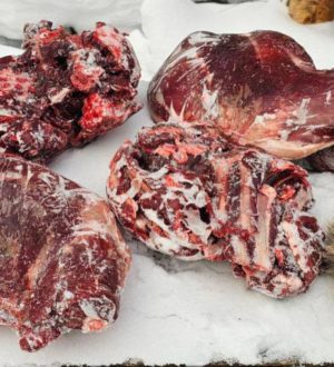 Незаконно добыл косулю: в Чебулинском округе поймали браконьера