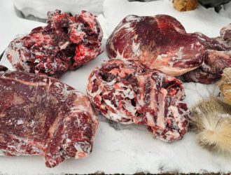 Незаконно добыл косулю: в Чебулинском округе поймали браконьера