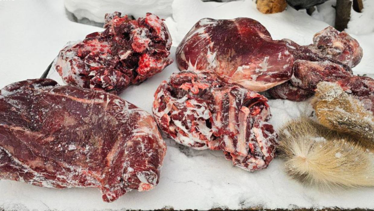 Незаконно добыл косулю: в Чебулинском округе поймали браконьера