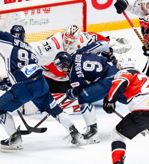 Новокузнецкий «Металлург» в Санкт-Петербурге одолел «Динамо»