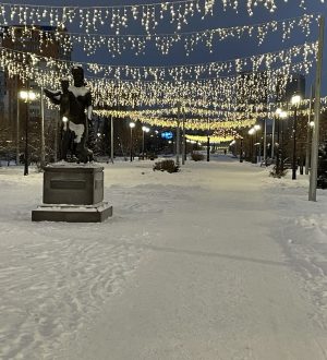 Новокузнечан приглашают на открытие новогоднего павильона «Зима»