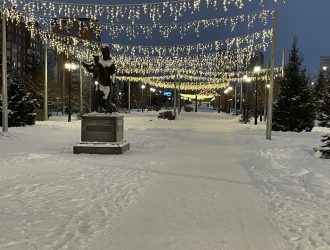 Новокузнечан приглашают на открытие новогоднего павильона «Зима»