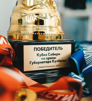 Кузбассовцы завоевали медали на турнире по спортивной гимнастике