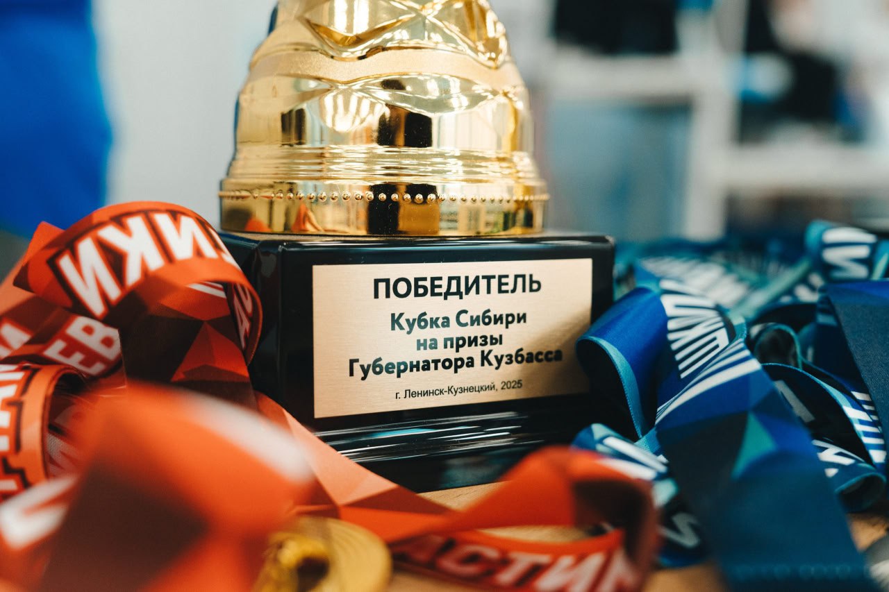 Кузбассовцы завоевали медали на турнире по спортивной гимнастике