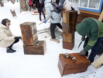 В Кемерове в Рудничном бору установили домики для сов