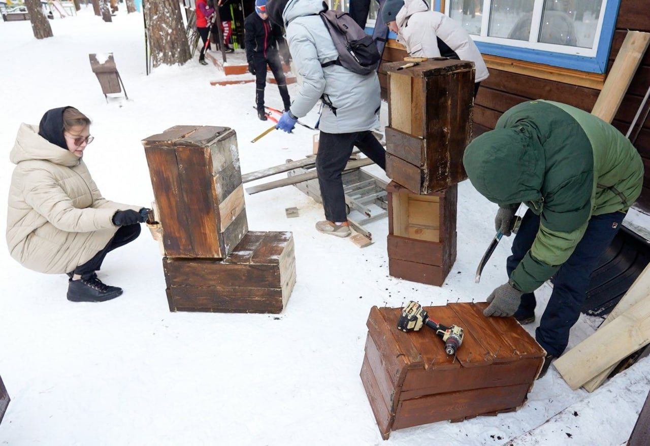 В Кемерове в Рудничном бору установили домики для сов