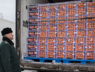 Мандарины в Сибирь преимущественно везут из Китая